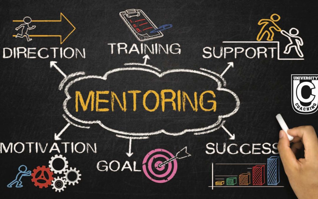 Mentoring & Experience